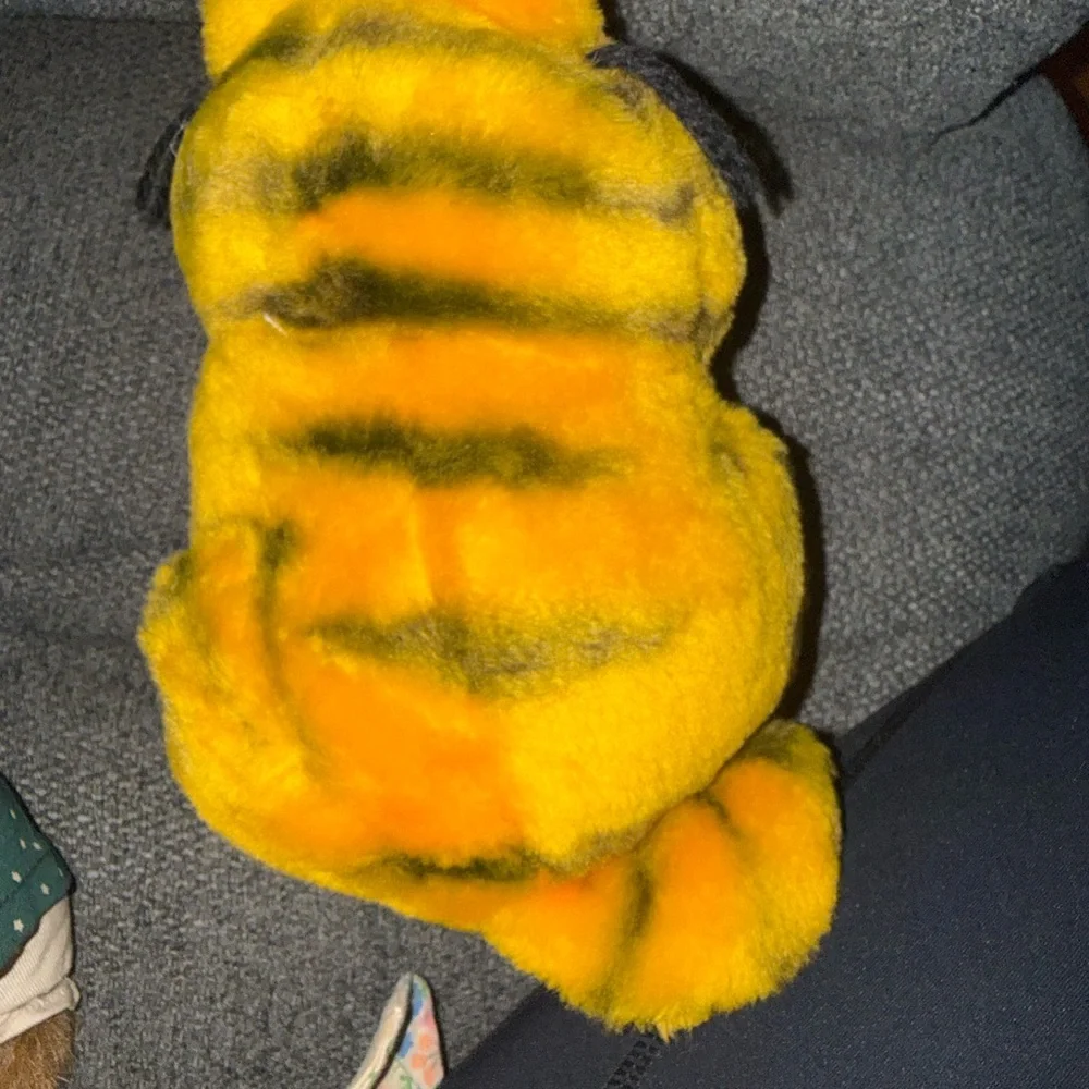 Dakine vintage garfield