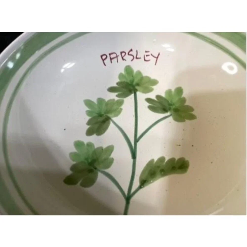WILLIAMS-SONOMA, Herb Pattern Appetizer Bowl replacement for platter Italy