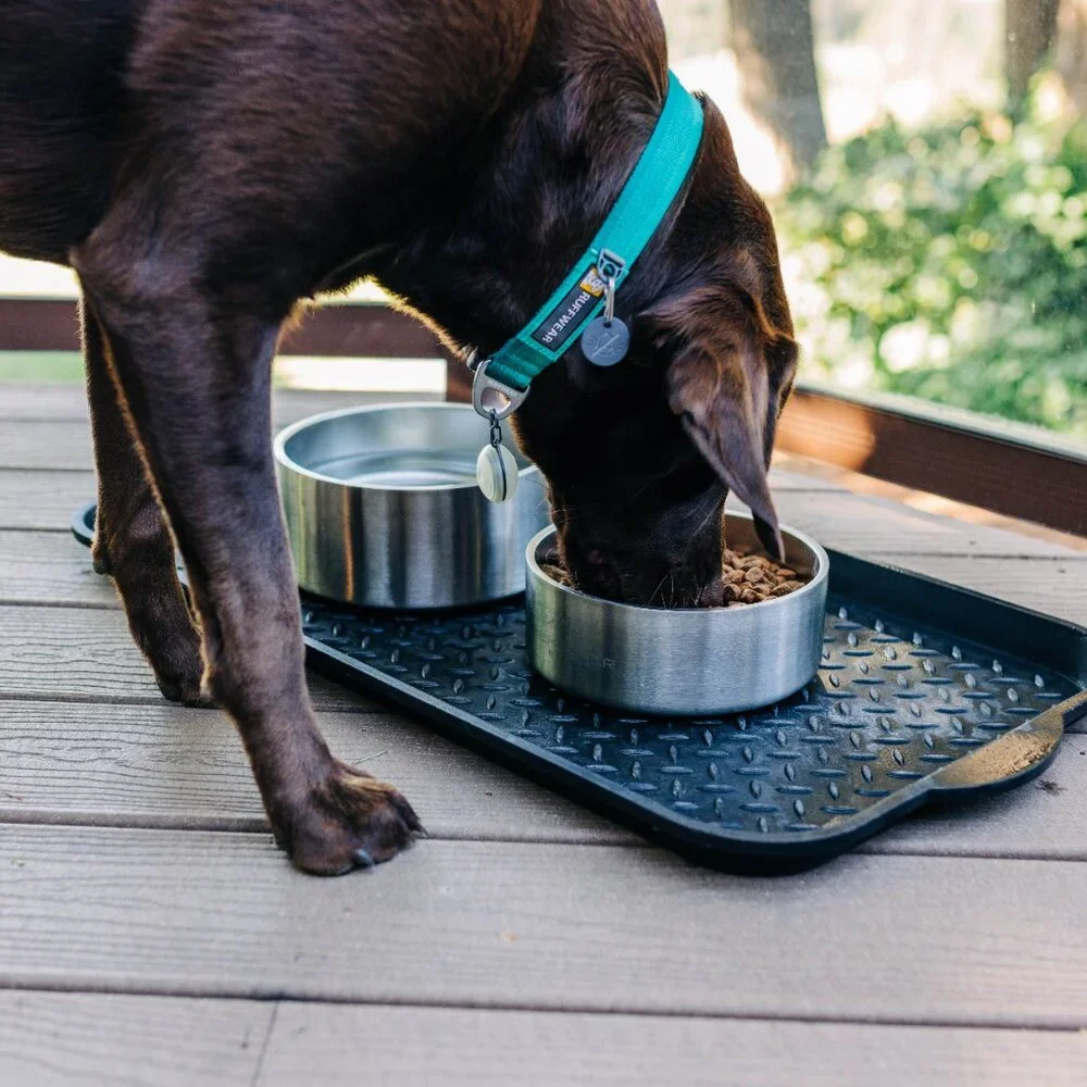 Insulated Stainless Steel Food Water Bowl
