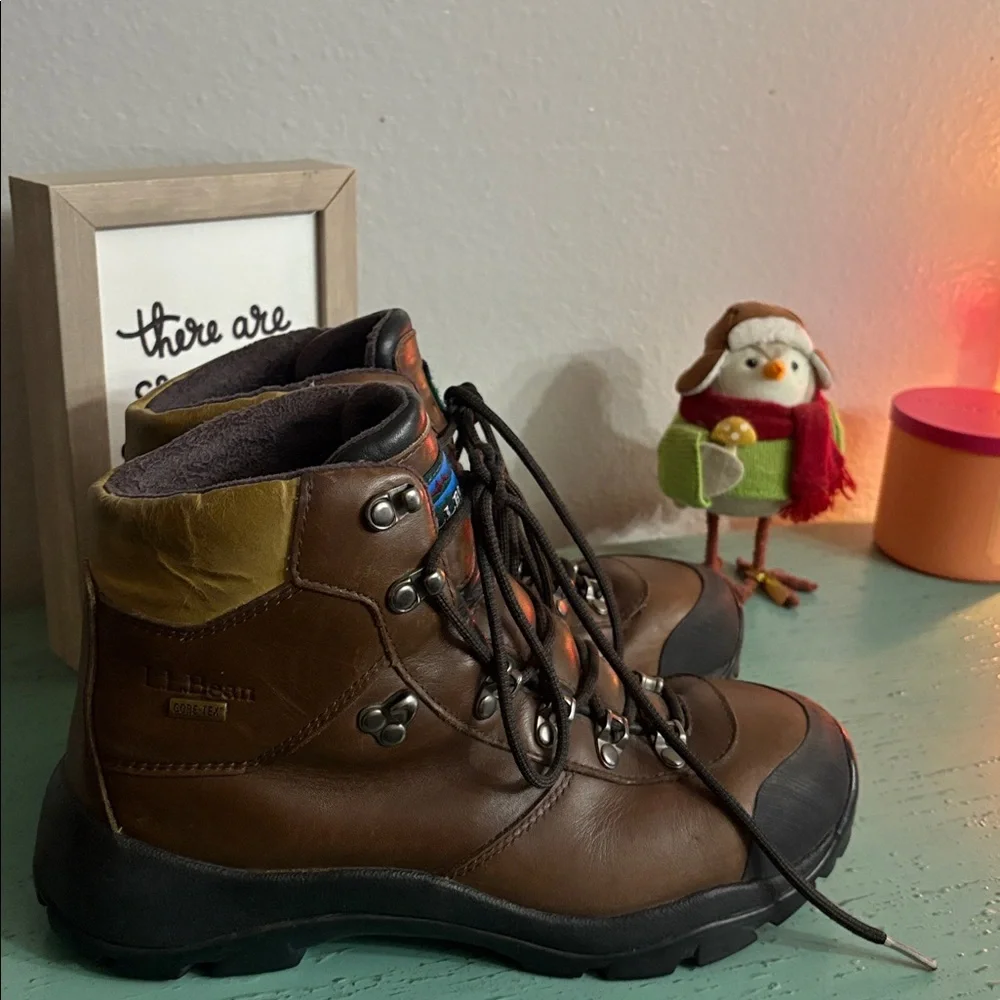 L.L. Bean sturdy brown