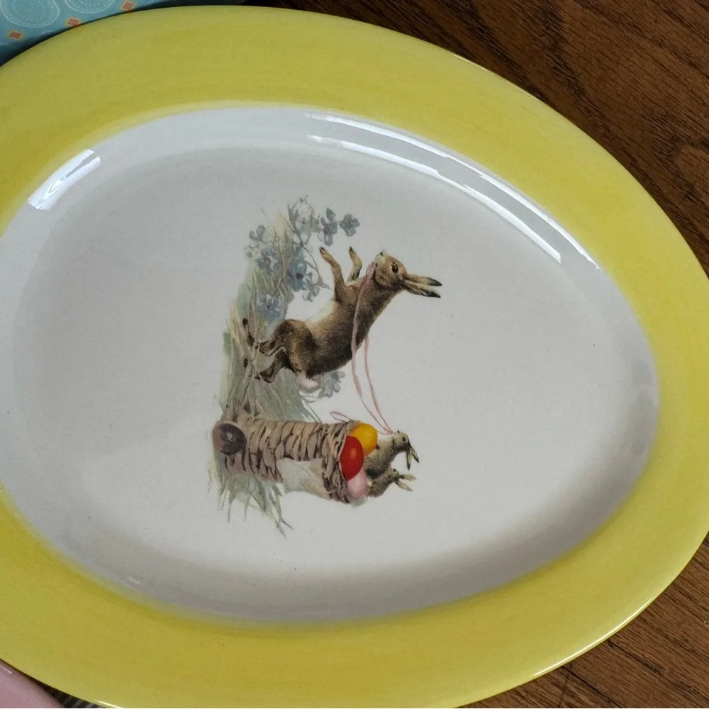 Williams Sonoma excellent used