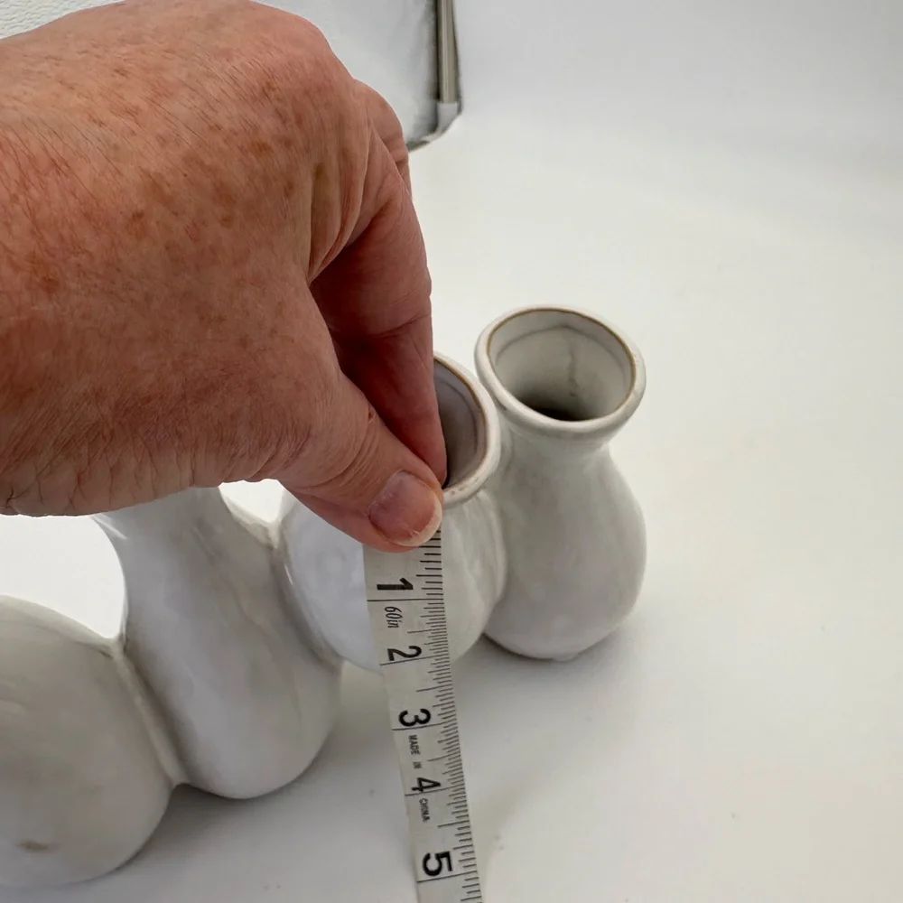 Cost Plus World Market stylish ceramic