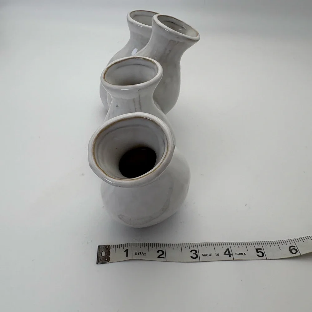 Cost Plus World Market stylish ceramic