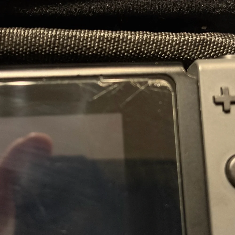 Nintendo portable switch