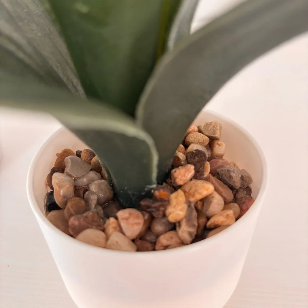 Threshold faux potted