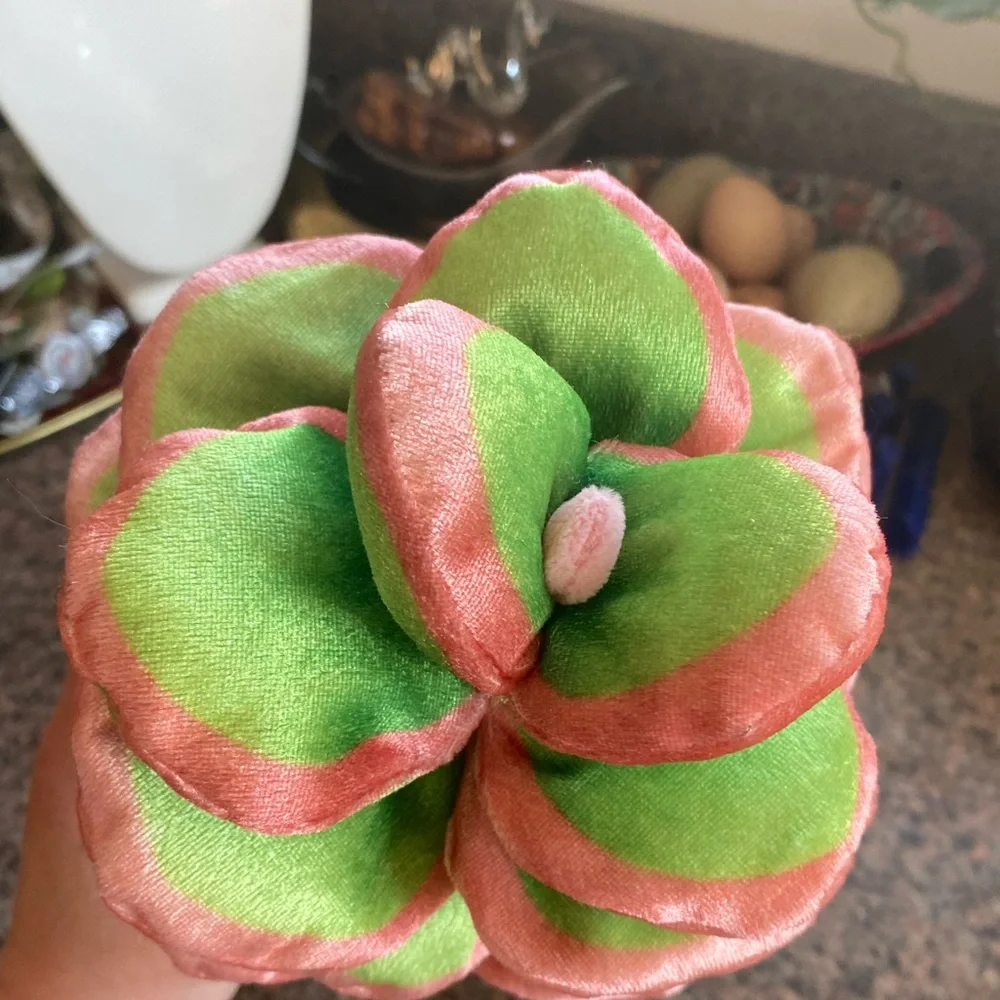 Sleepy Cozy Potted Succulent Plush CUTIE Decor PLANT LOVERS 🏜️🪷