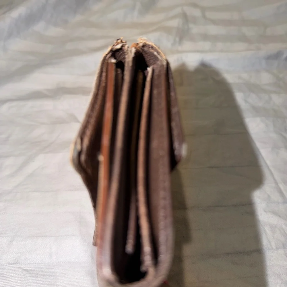 Louis Vuitton elegant brown
