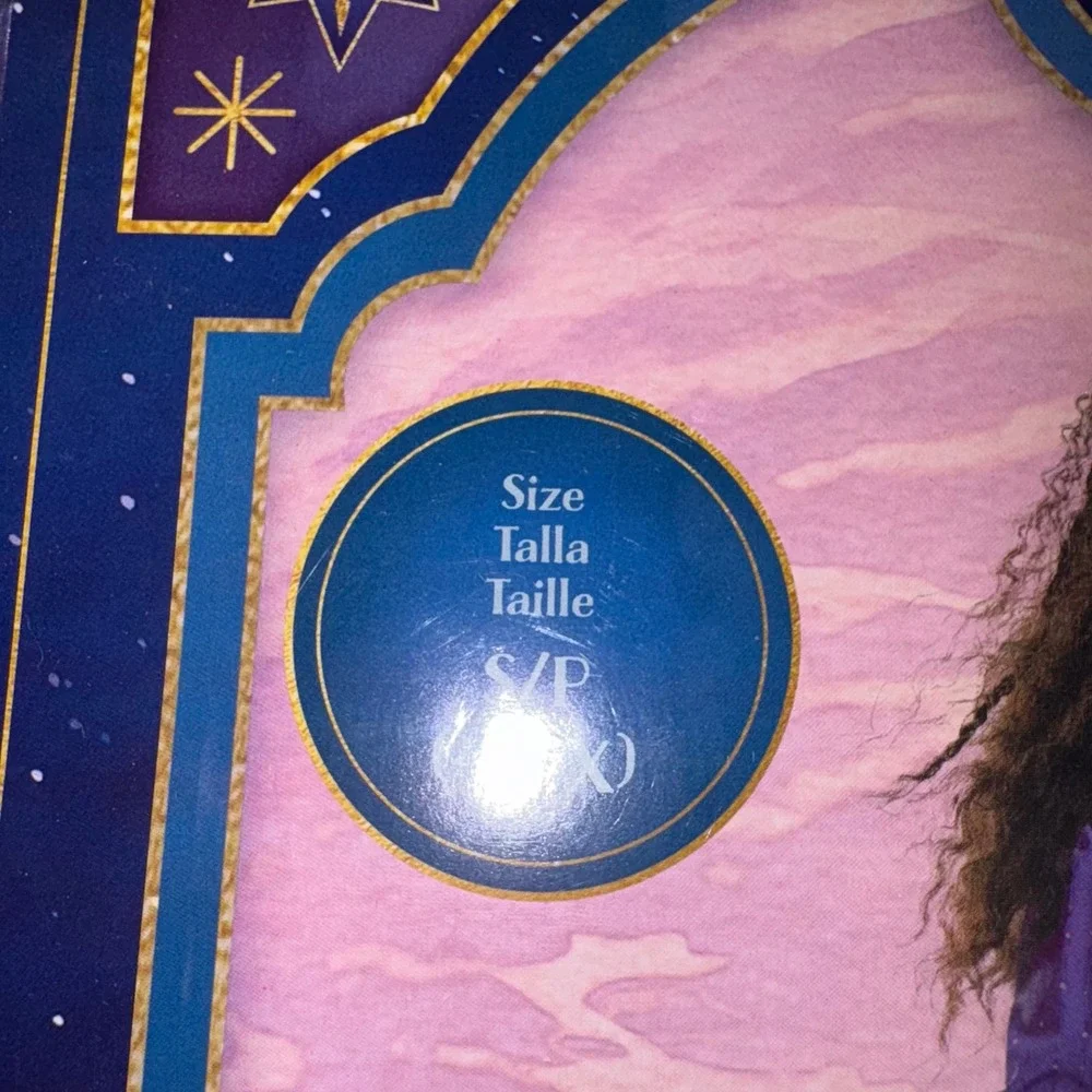 Disguise disney wish