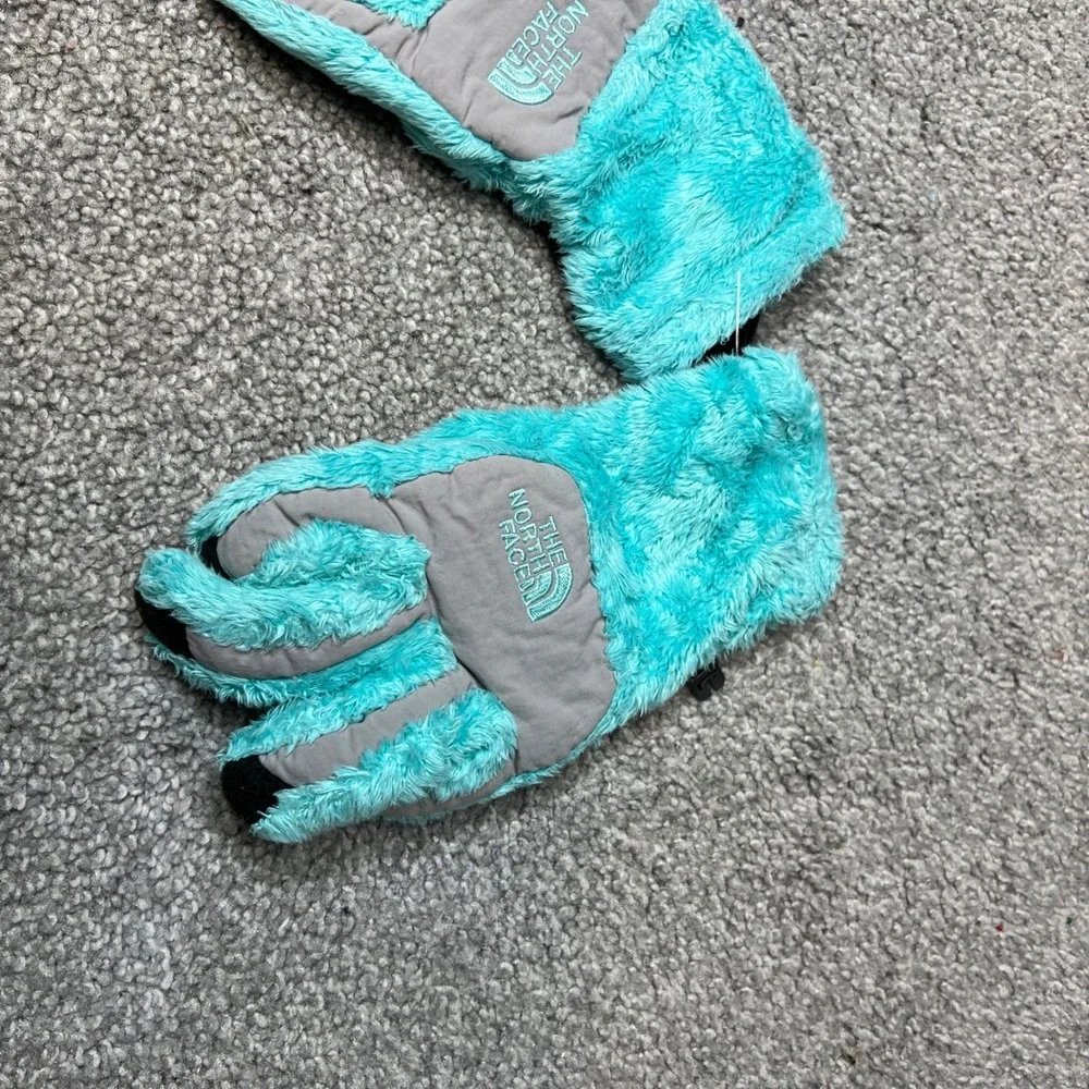 The North Face north face