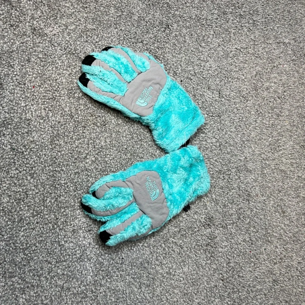 The North Face north face