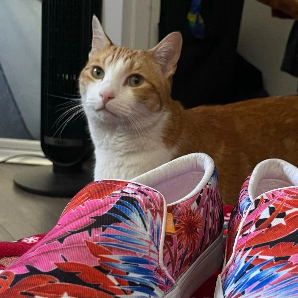 Nike Pink and Blue Floral Slip-On Cat Toy Shoes