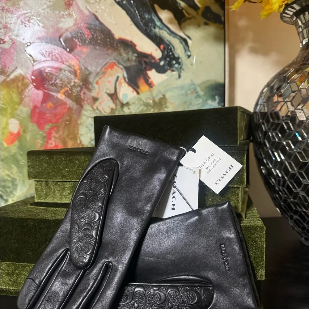 Coach sophisticated black
