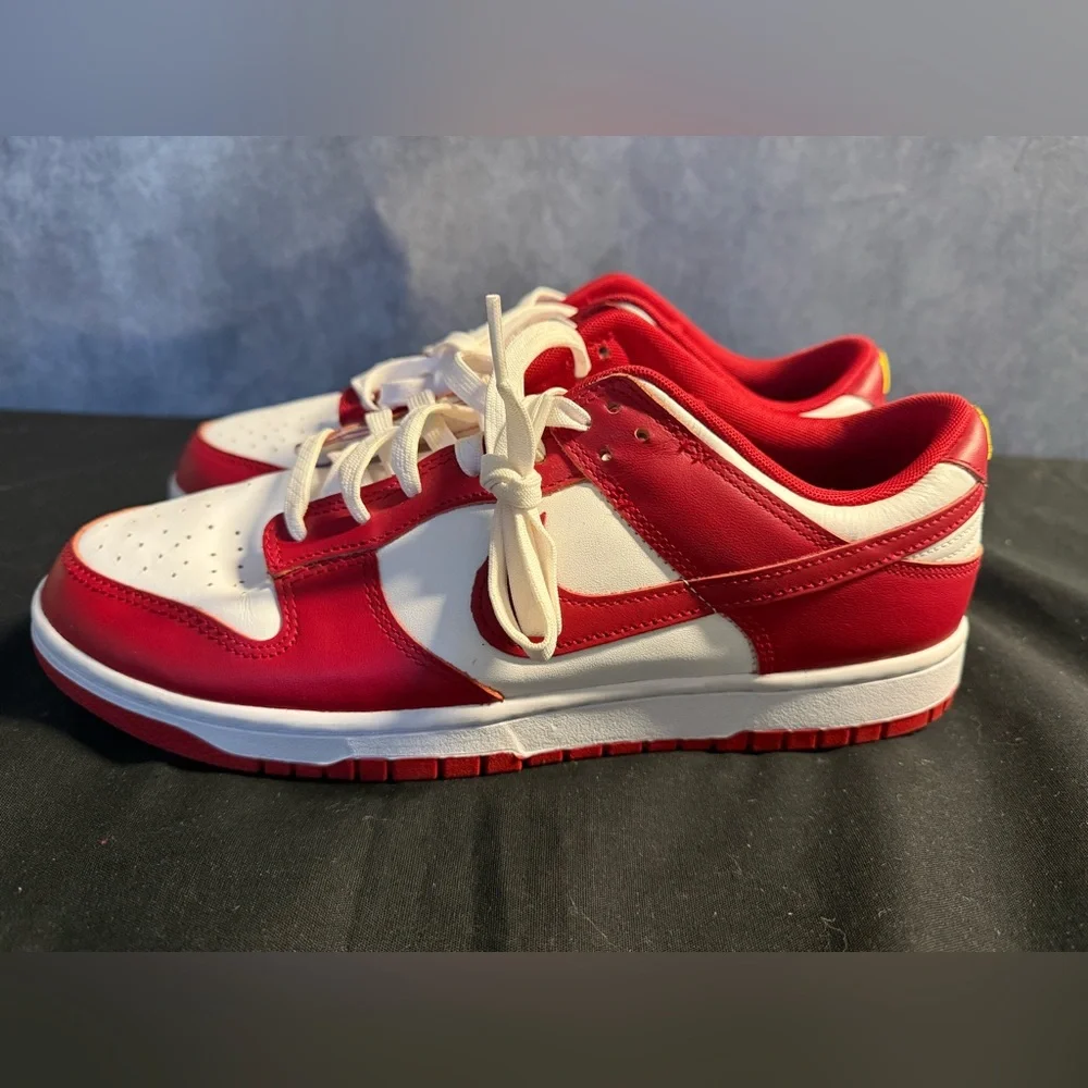 Nike classic dunk