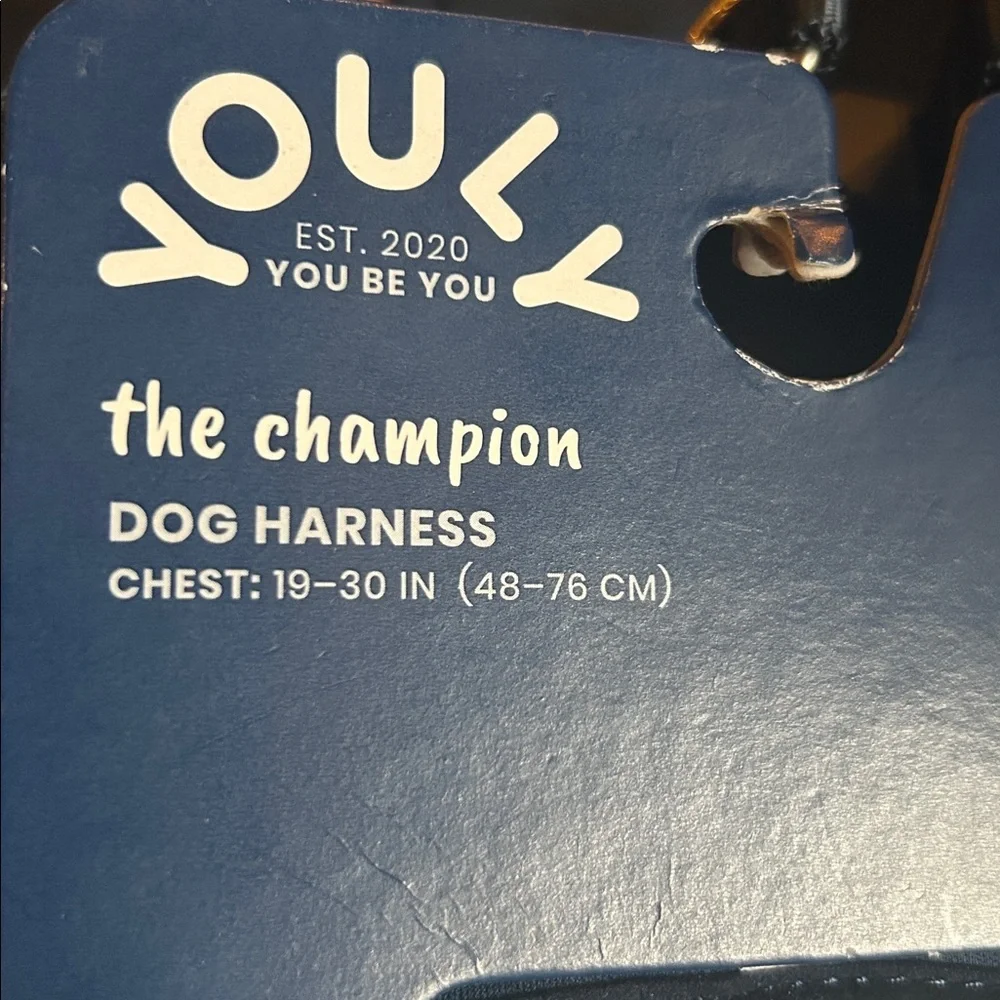 Youly even underdog