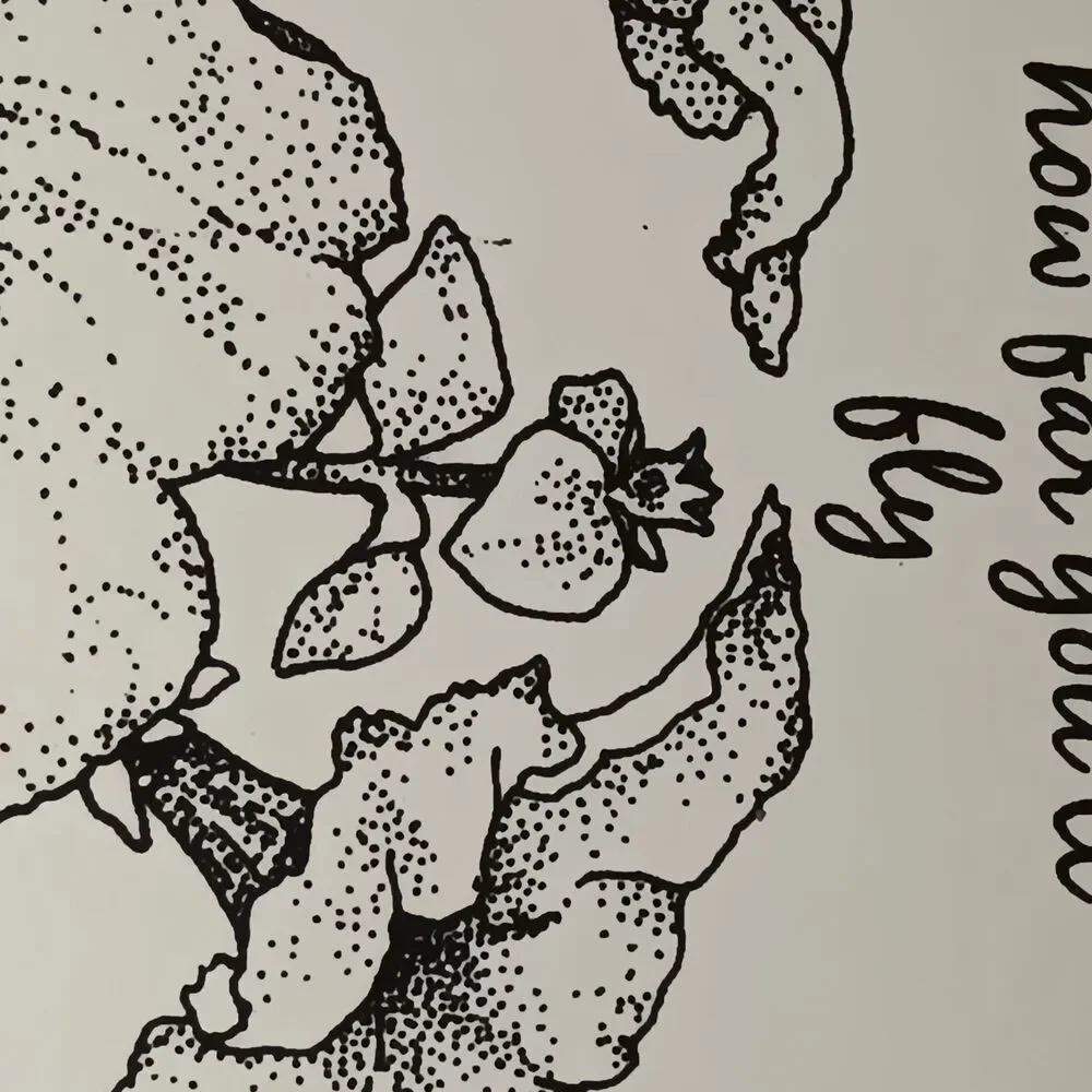 N/A journal hummingbird