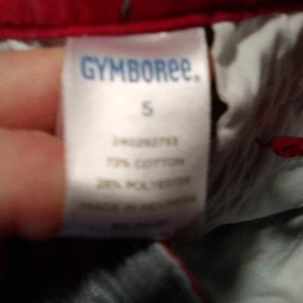 Gymboree boys gray