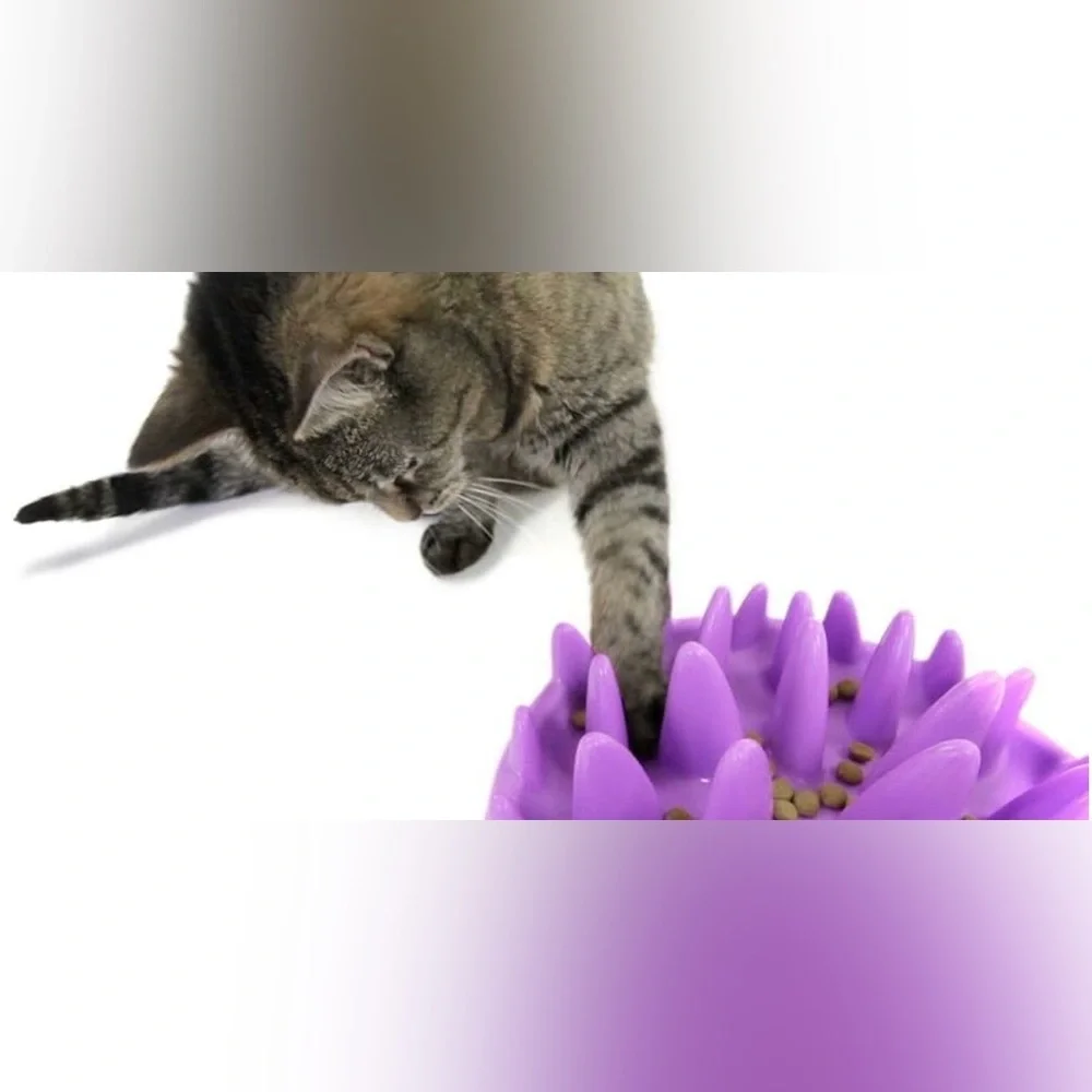 NORTHMATE catch interactive