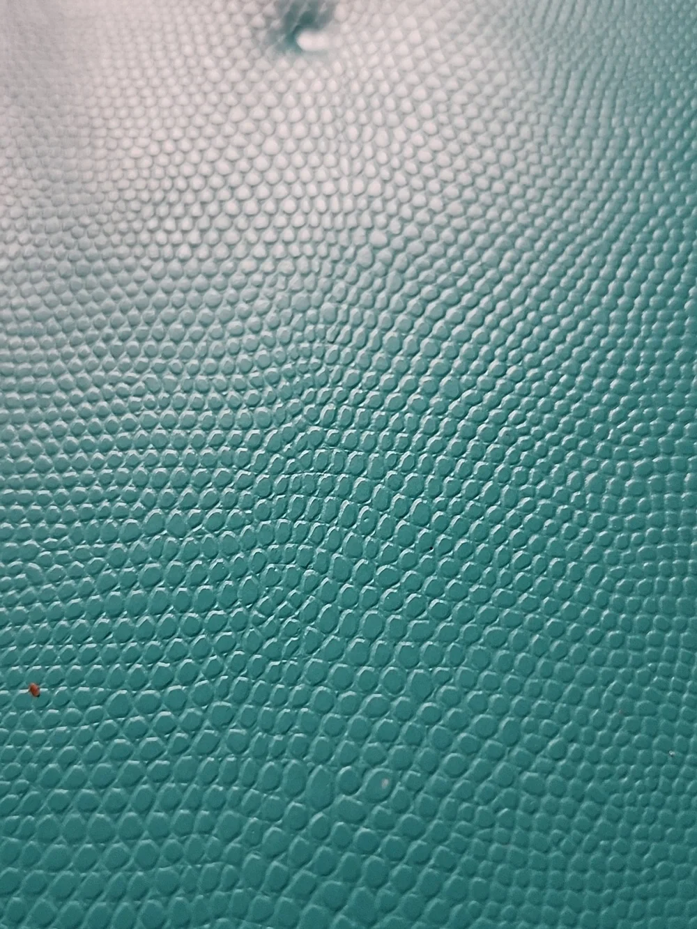 Baekgaard sleek teal