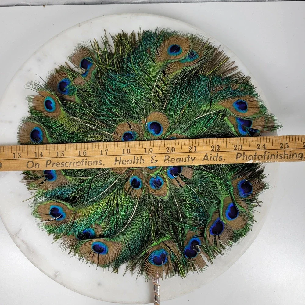 Vintage decorative peacock