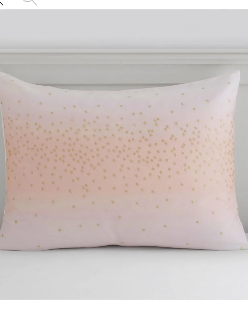 Set 2 Pottery Barn Monique Lhuillier Metallic Stardust Pillow Shams