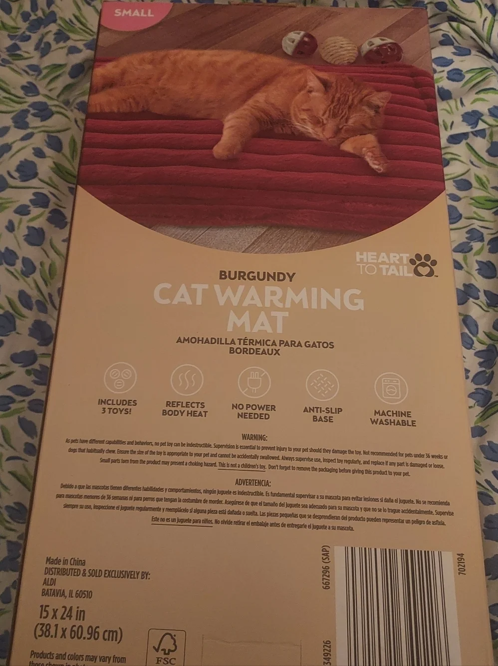 N/A burgundy cat