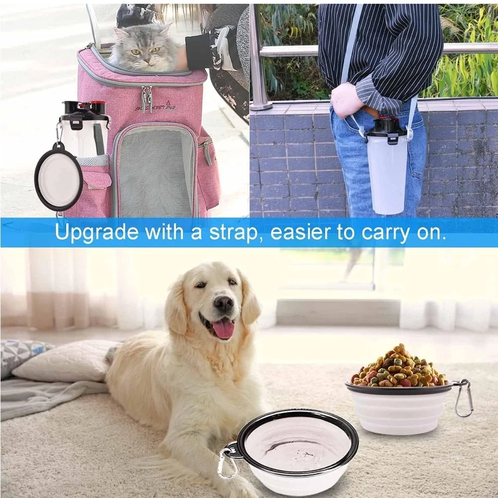 N/A dog travel