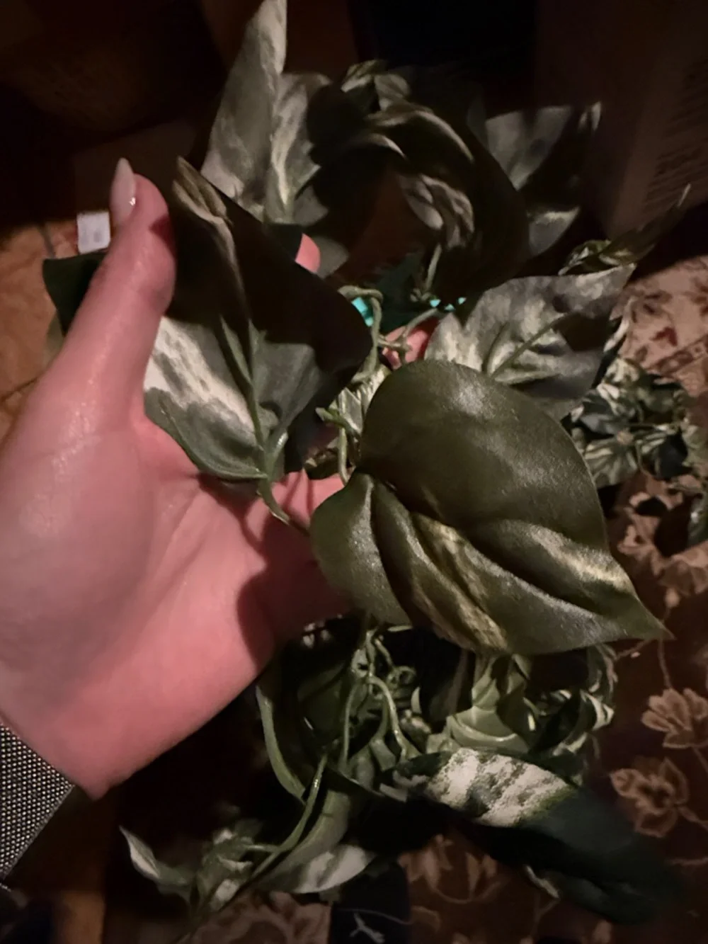 N/A lush variegated