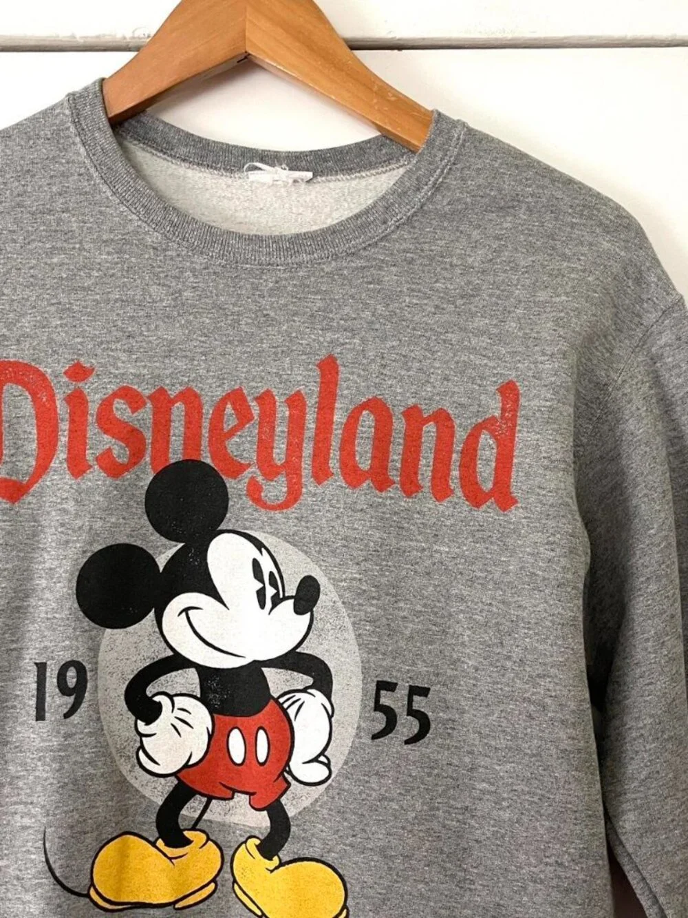 disneyland but 26 research