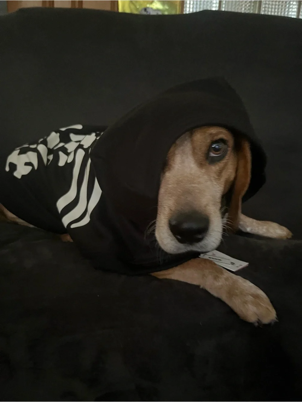 Dog Hoodie XXL PINK