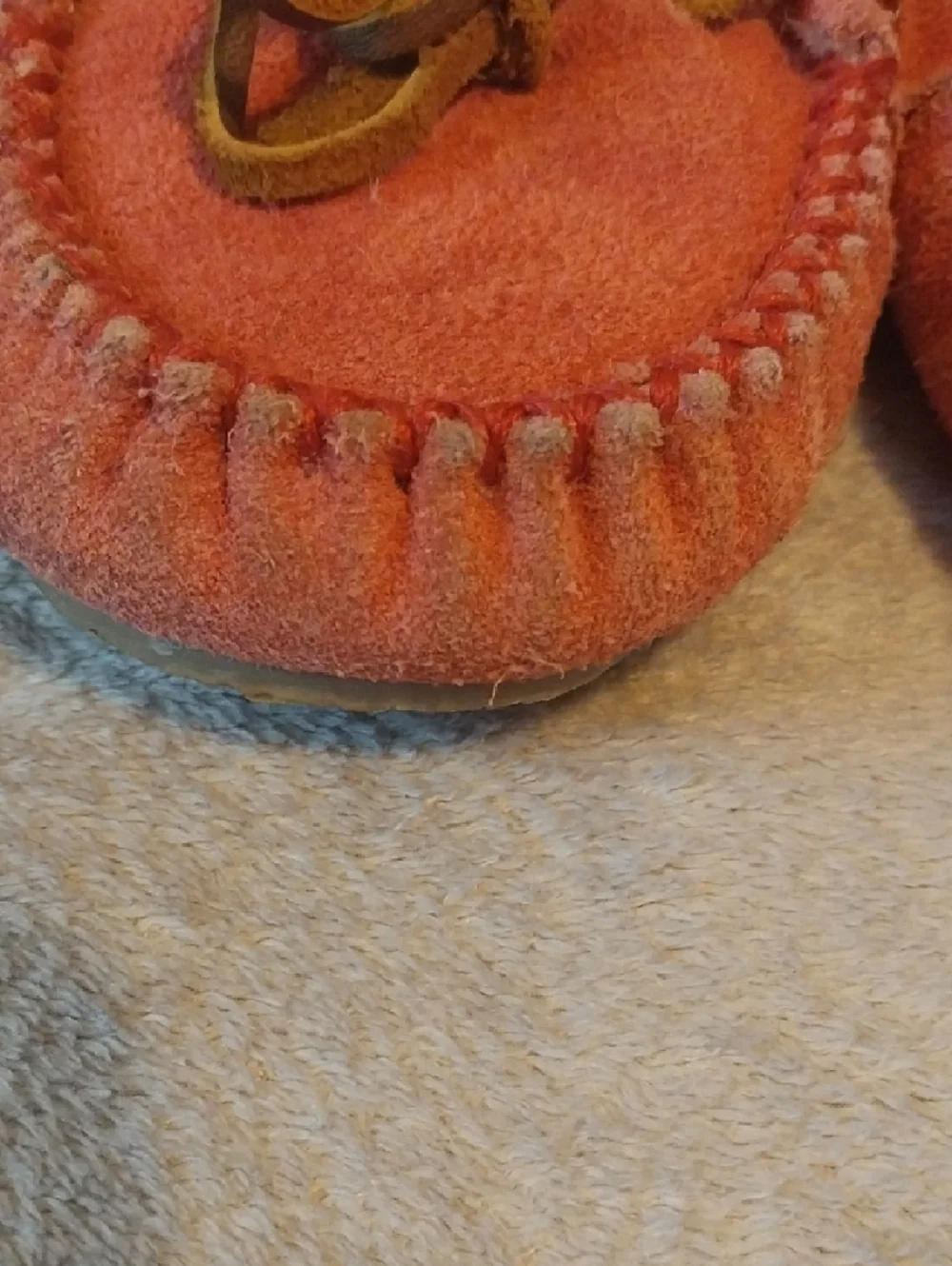 Minnetonka soft coral