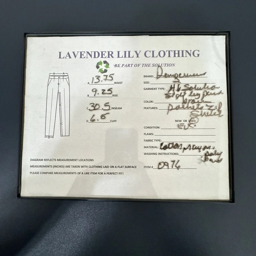 Democracy absolution women