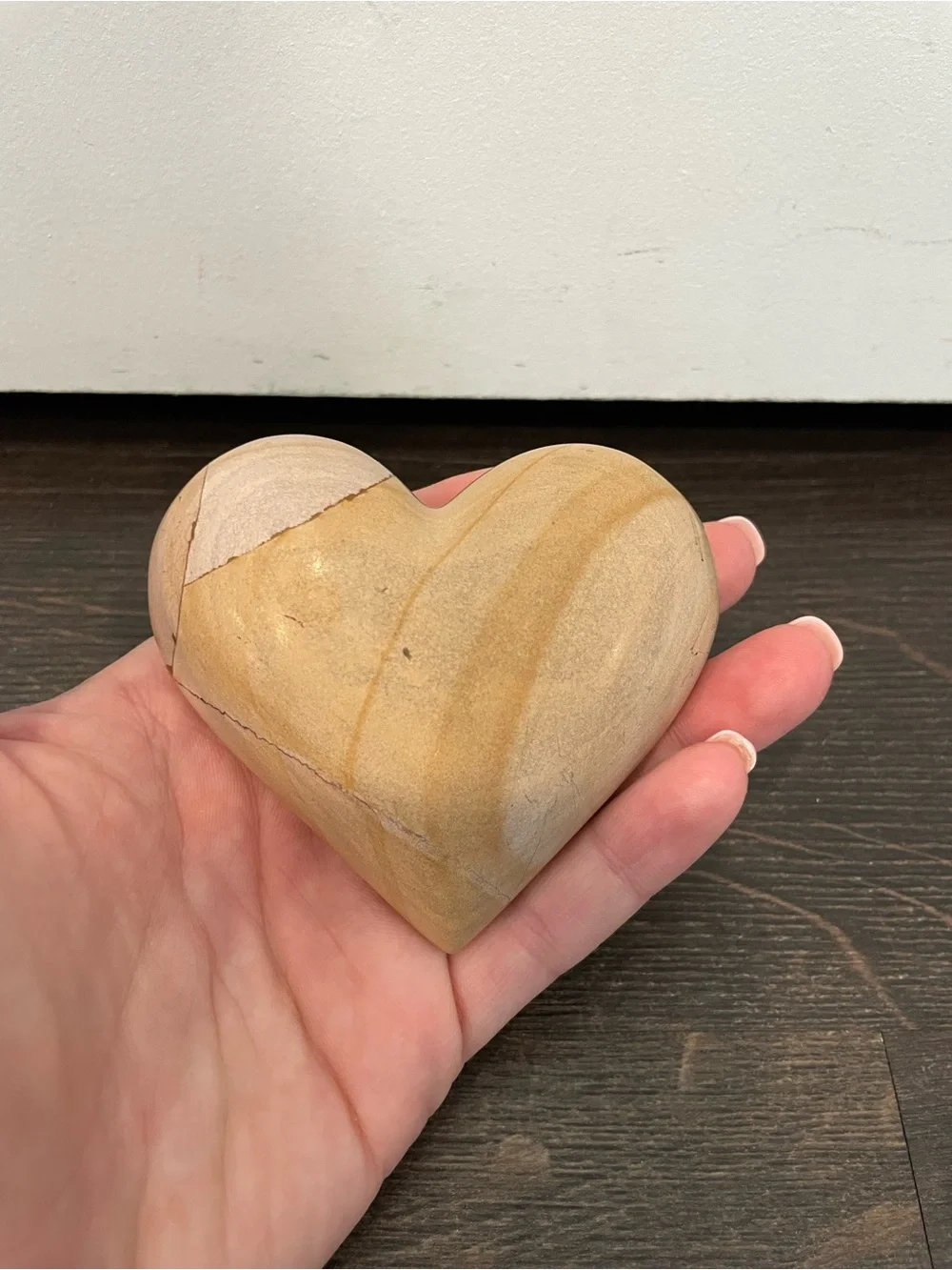N/A petrified wood
