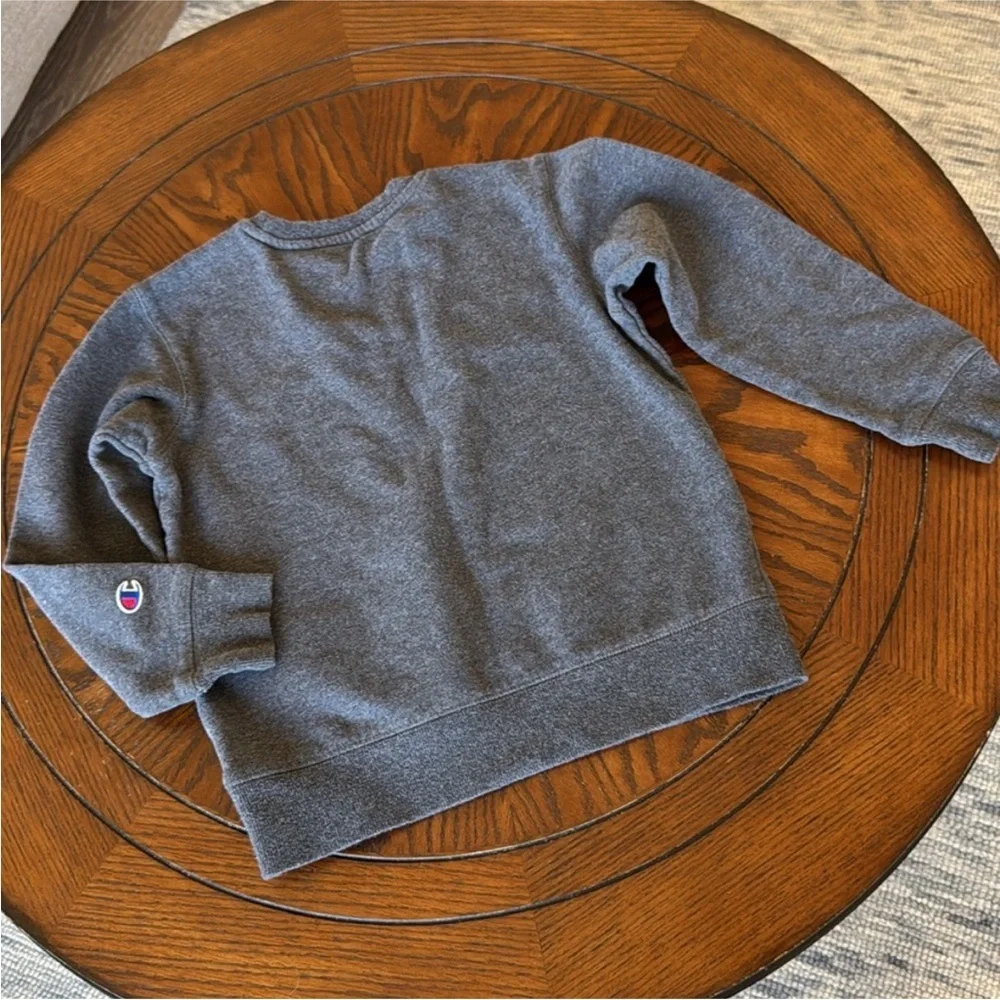 Champion cotton everyday fit