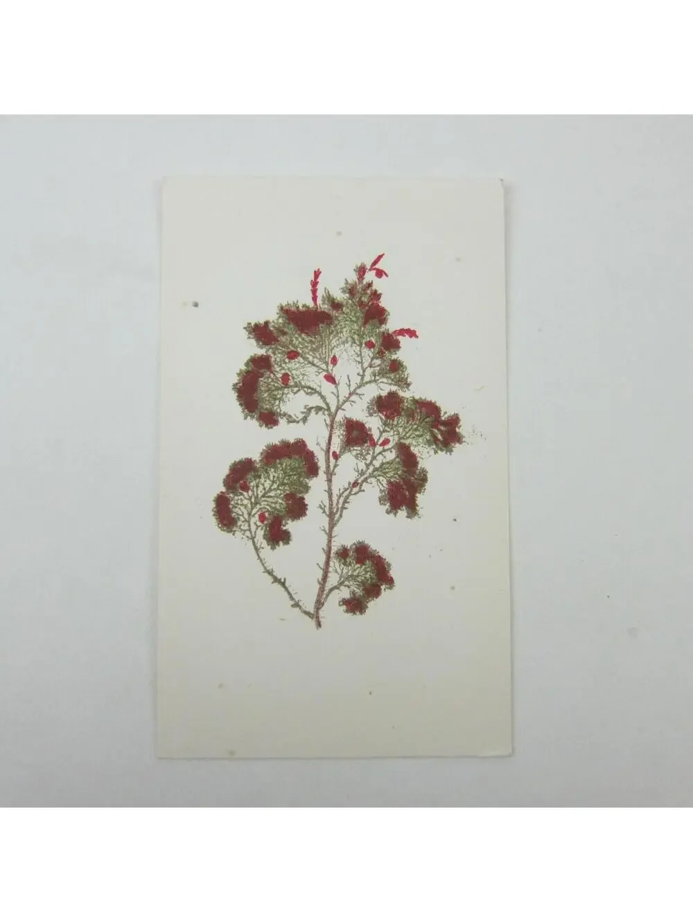 N/A antique art