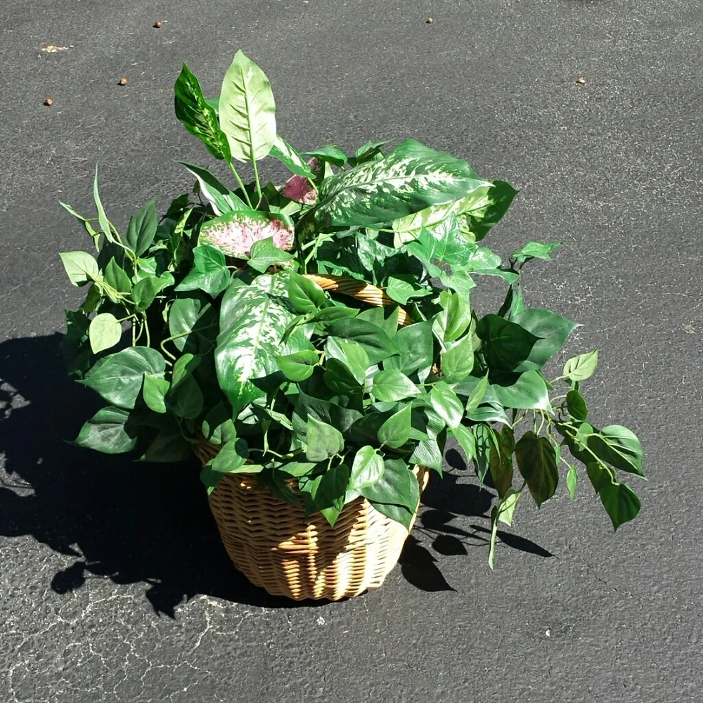Faux plants in a wicker basket