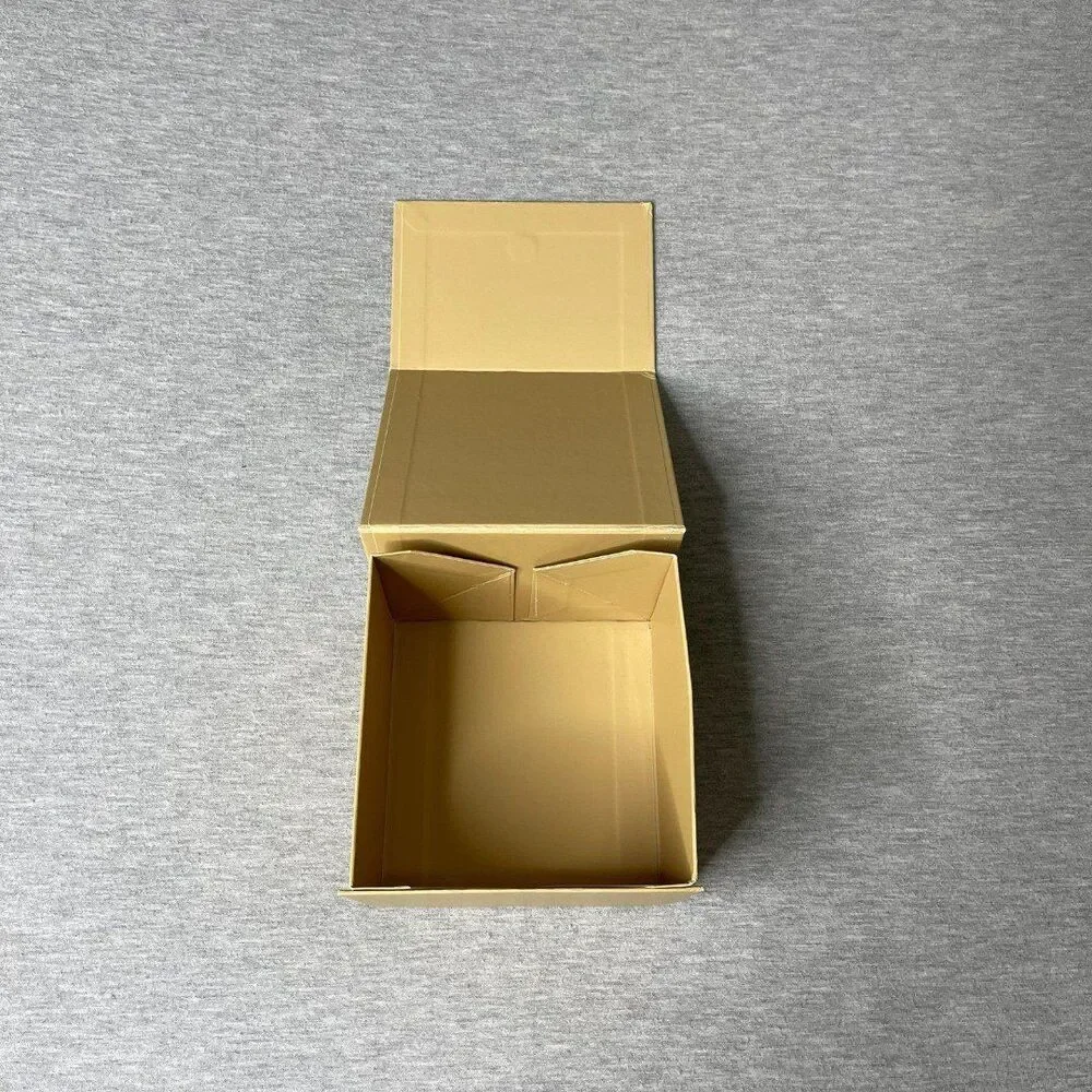 Michael Kors comes box