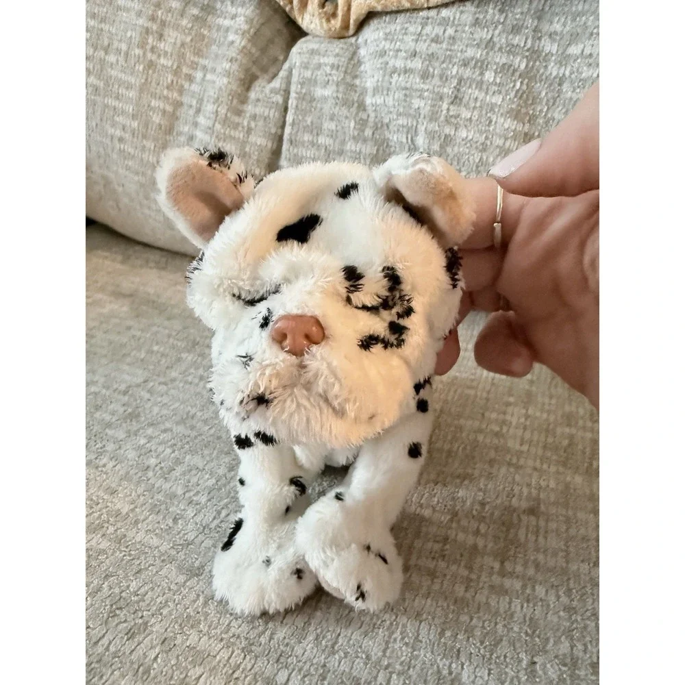 Tiger Woods Collection this puppy