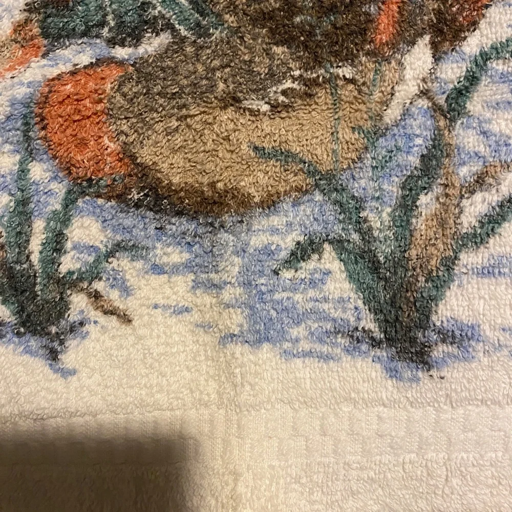 Vintage Cannon Wood Ducks White Cotton Dish Towel Set of (2)