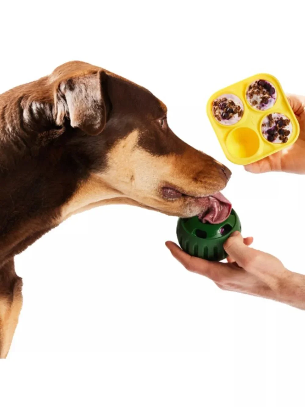 Woof nwt pupsicle