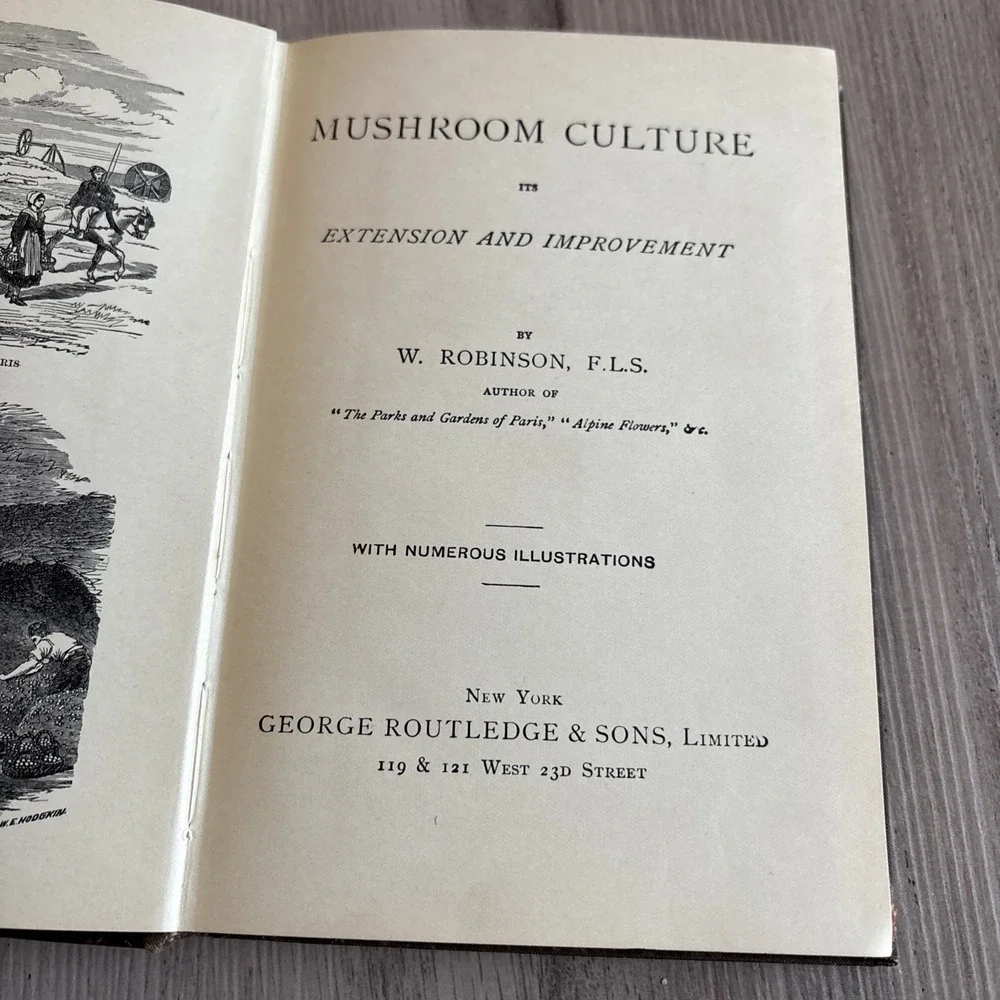 N/A mushroom culture