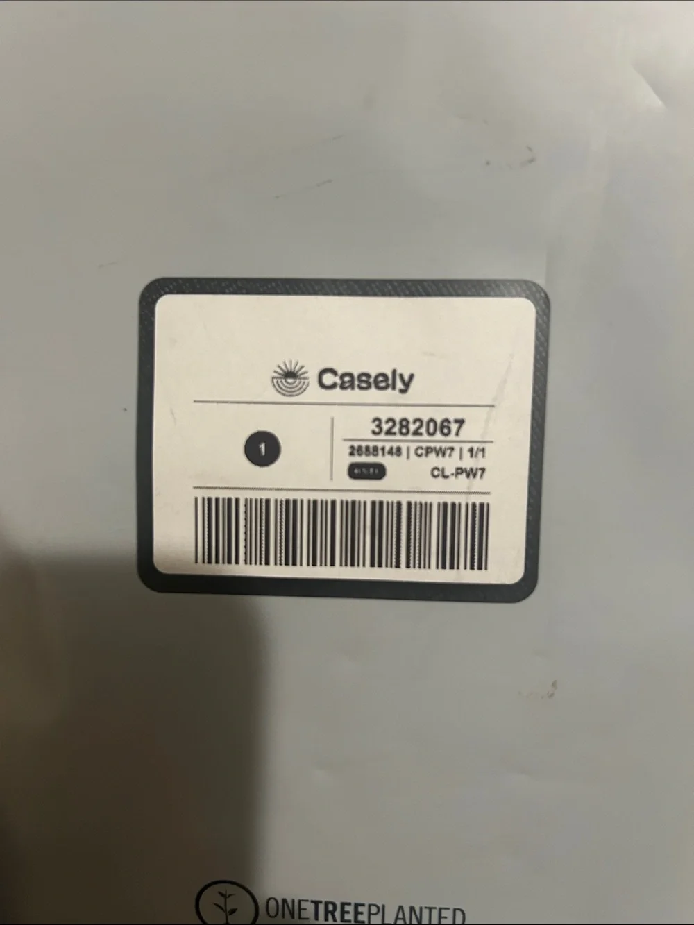 casely cheers good