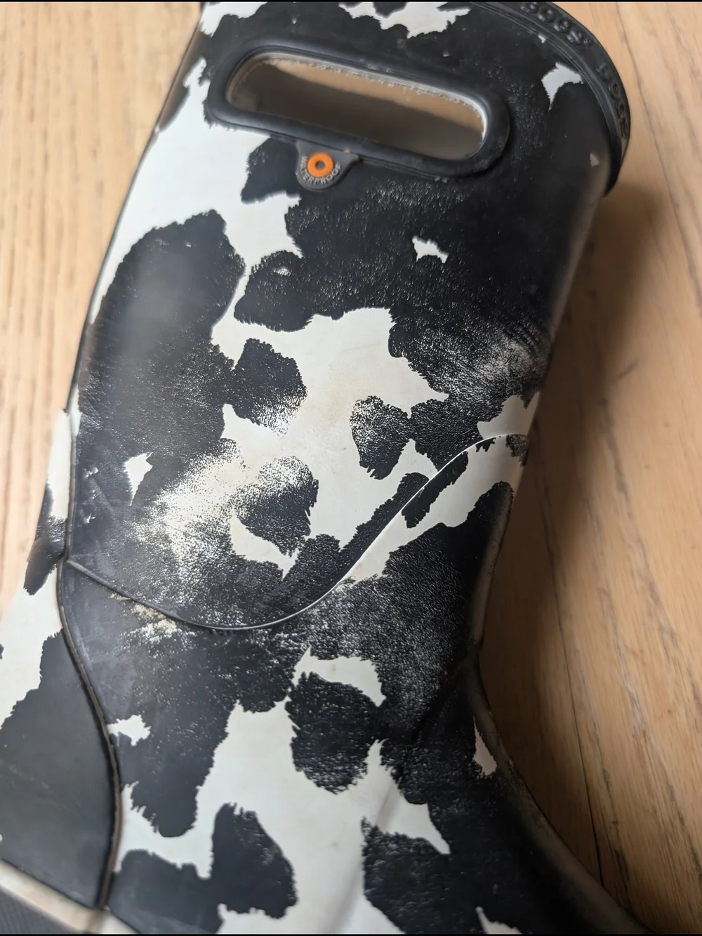 Bogs stylish cow
