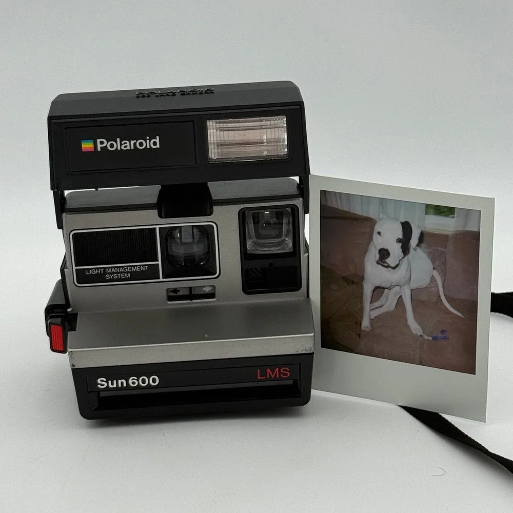 Polaroid vintage sun