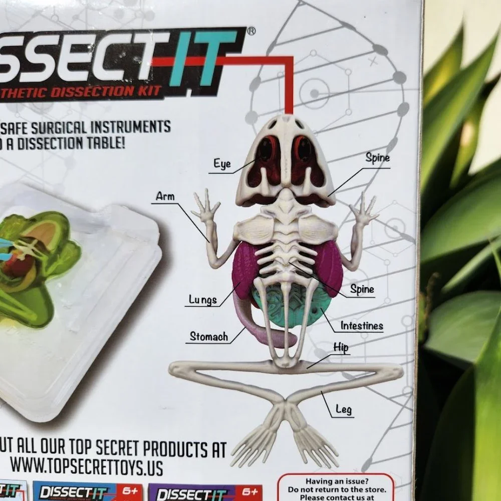 Dissect-it new dissect