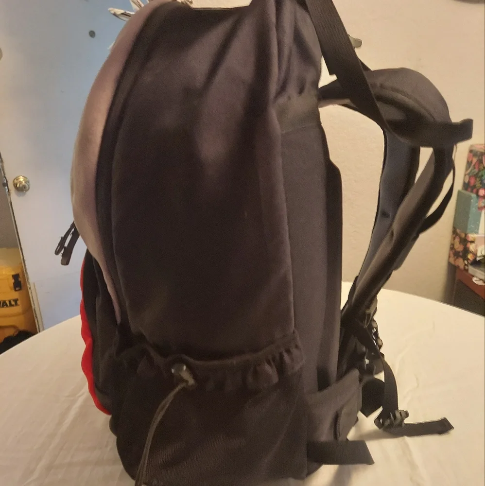 The North Face great used