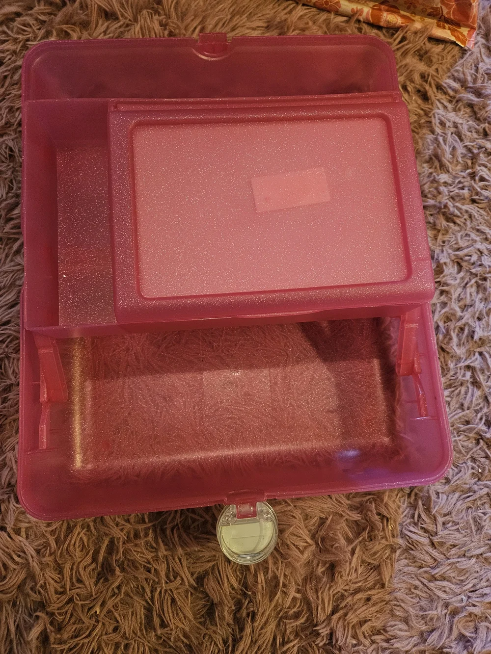 Caboodles shiny pink