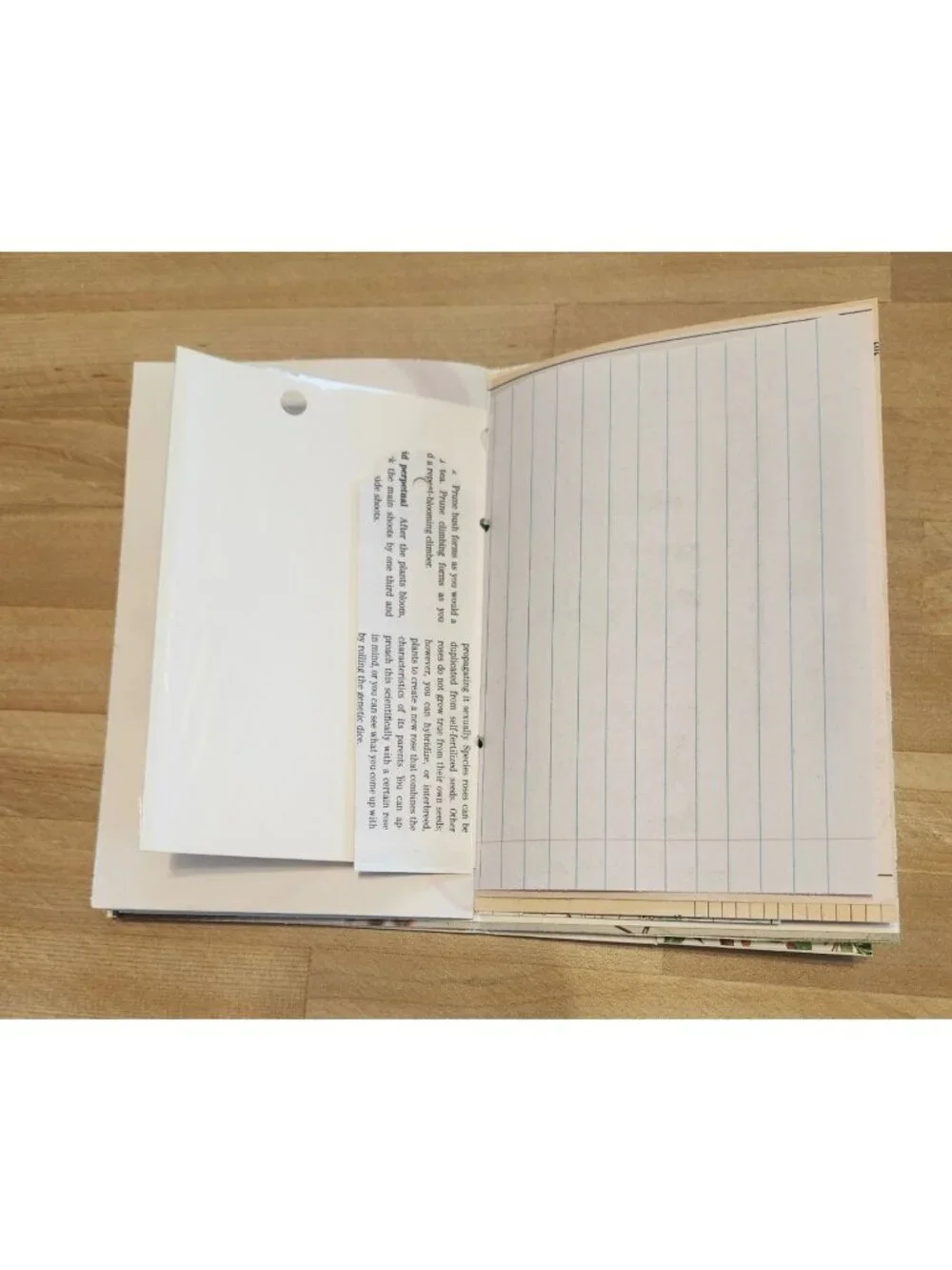 Handmade junk journal
