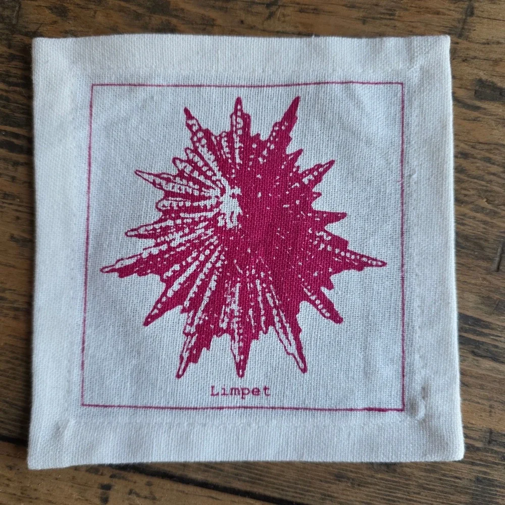 TWOS COMPANY Set 6‎ Cotton Shell Cocktail Napkins Coastal Beach Entertaining