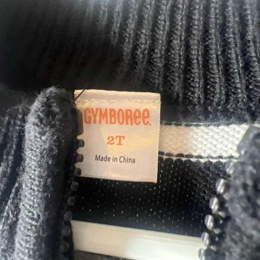Gymboree striped sweater
