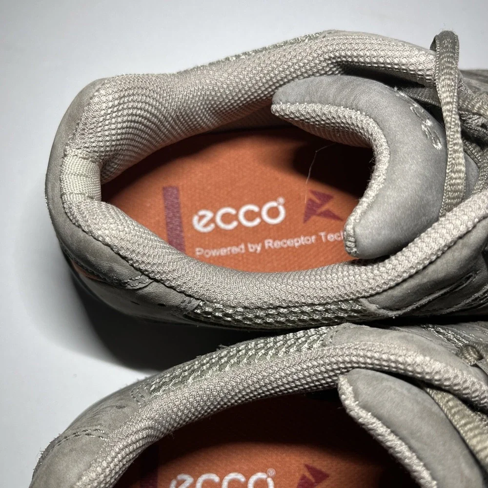 Ecco women receptor